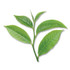 KEURIG DR PEPPER Bigelow® 10347 Decaffeinated Green Tea, Green Decaf, 0.34 lbs, 28/Box