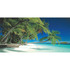 Biggies WM-BCH-120  Wall Mural, 60in x 120in, Beach