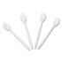 AMERCAREROYAL P2303W Polypropylene Cutlery, Soda Spoon, Plastic, 7.87", White, 1,000/Carton