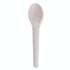 ECO-PRODUCTS,INC. EP-S013 Plantware Compostable Cutlery, Spoon, Plastic, Pearl White, 50/Pack, 20 Pack/Carton