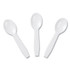 AMERCAREROYAL RTS3000 Polystyrene Taster Spoons, Plastic, 3", White, 3,000/Carton