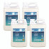 EARTH FRIENDLY PRODUCTS ECOS® PL966304CT Liquid Hand Soap, Free and Clear, 1 gal, 4/Carton