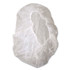 TRADEX INTERNATIONAL AMBITEX® BC21 BC Series Bouffant Caps, 21", White, 1,000/Carton