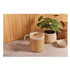 LAVAZZA FLAVIA® 48010 Alterra French Roast Coffee Freshpack, 100/Carton