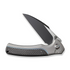 We Knife WE22024A-1 Ziffius Flipper & Thumb Stud & Button Lock Knife