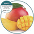 FRESH PRODUCTS OFB48MGBX ourfresh Airfreshener, Mango, 8/Box