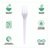 ECO-PRODUCTS,INC. EPS017 Plantware CPLA Cutlery, Fork, White, 1,000/Carton