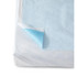 MEDLINE INDUSTRIES, INC. NON24335DUP Medline Disposable Polyethylene Flat Stretcher Sheet, 40in x 90in, Blue