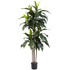 NEARLY NATURAL INC. 5446 Nearly Natural Dracaena 60inH Plastic UV Resistant Indoor/Outdoor Tree With Pot, 60inH x 31inW x 27inD, Green