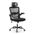FUZZY LOGIK IF-569-BK ALPHA HOME Ergonomic Mesh High-Back Task Chair, Black