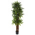 NEARLY NATURAL INC. 5403 Nearly Natural Dracaena 78inH Plastic Tree With Pot, 78inH x 30inW x 30inD, Green