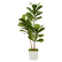 NEARLY NATURAL INC. T2487 Nearly Natural Fiddle Leaf 66inH Artificial Tree With Metal Planter, 66inH x 24inW x 20inD, Green/White
