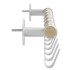 SAFCO PRODUCTS 4264WH Resi Coat Wall Rack, 6 Hook, 36.25w x 4.25d x 6h, White