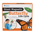 Get students excited about life sciences with this Giant Magnetic Butterfly Life Cycle Set. Featuring 9 jumbo illustrated magnets, this set allows students to explore and model the life cycle of a butterfly right on the whiteboard. The realistic, write-and-wipe pieces make it perfect for interactive lessons and group activities.  Includes 9 realistically detailed jumbo magnets  Helps students visually explore the life cycle of a butterfly  Model the life cycle directly on the whiteboard  Features 9 write-and-wipe pieces for easy interaction  Comes with an activity guide for additional learning  Ideal for children ages 5 and up  Perfect for hands-on science lessons