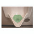 BOARDWALK 1005 Anti-Splash Urinal Screen, Cucumber Twist Scent, Green, 0.11 oz, 10/Box