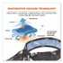 TENACIOUS HOLDINGS, INC. ergodyne® 12569 Chill-Its 6700CT Cooling Bandana PVA Tie Headband, One Size Fits Most, Skulls