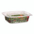 ECO-PRODUCTS,INC. EP-RC24 Renewable and Compostable Rectangular Deli Containers with Lid, 24 oz, 4 x 5.5 x 2, Clear, Plastic, 50/Pack, 4 Packs/Carton