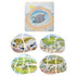 PLAYWELL ENTERPRISE LTD Beleduc Layer Puzzle, Frog
