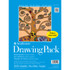 DIXON FINE ART Strathmore 100 Series Drawing Bulk Sheet, 9x12 inch, 200 Sheets