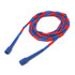 DICK MARTIN SPORTS Martin Sports Segmented Plastic Jump Rope, 16'