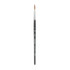 DIXON FINE ART Princeton Aqua Elite Round Brush, Synthetic Bristles, Short Handle Watercolor Paintbrush, Matte Black, Size 4, 1 Count