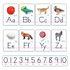 TREND ENTERPRISES INC. TREND Photo Alphabet Cards Zaner-Bloser Manuscript Bulletin Board Set