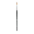 DIXON FINE ART Princeton Aqua Elite Round Brush, Synthetic Bristles, Short Handle Watercolor Paintbrush, Matte Black, Size 6, 1 Count