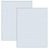 DIXON TICONDEROGA CO Pacon® Graphing Paper, White, 1/4" Quadrille Ruled, 8-1/2" x 11", 500 Sheets Per Pack, 2 Packs