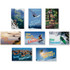 NORTH STAR TEACHER RESOURCE North Star Teacher Resources Extreme Motivators Bulletin Board Set