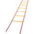 CHAMPION SPORTS Champion Sports Economy Agility Ladder
