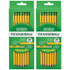 DIXON TICONDEROGA CO Ticonderoga® No. 2 Pencils, Pre-Sharpened, 30 Per Pack, 2 Packs