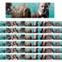 TEACHER CREATED RESOURCES Edupress™ Black History Photo Border, 35 Feet Per Pack, 6 Packs