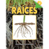 CARSON DELLOSA EDUCATION Discovery Library Raíces Book, Paperback