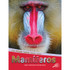 CARSON DELLOSA EDUCATION Discovery Library Mamíferos Hardcover