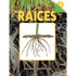 CARSON DELLOSA EDUCATION Discovery Library Raíces Book, Hardcover