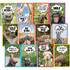 TEACHER CREATED RESOURCES Teacher Created Resources® Go Wild Animals Small Poster Pack