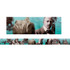 TEACHER CREATED RESOURCES Edupress™ Black History Photo Border, 35 Feet