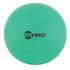 CHAMPION SPORTS Champion Sports Fitpro Training & Exercise Ball, 42cm, Green