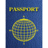 ASHLEY PRODUCTIONS Ashley Productions® Blank Passports, Pack of 12