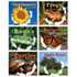 CAPSTONE / COUGHLAN PUB Pebble Plus Explore Life Cycles, Set of 6 books