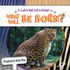 CARSON DELLOSA EDUCATION Rourke Educational Media What Will Be Born? Reader, Grade K-2, Paperback