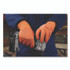 AMMEX CORPORATION GloveWorks® by GWUOFN46050 Ultra Industrial Flock-Lined Nitrile Disposable Gloves, Large, 8 mil Thick, 9.06" Long, Orange, 50/Box, 10 Boxes/Carton