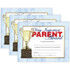 FLIPSIDE Hayes Publishing Very Important Parent Award, 8.5" x 11", 30 Per Pack, 3 Packs