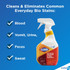 The Clorox Company CloroxPro 31903CT CloroxPro Disinfecting Bio Stain & Odor Remover Spray