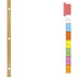 Avery Avery&reg; WI2138 Avery&reg; Big Tab Insertable Dividers - Reinforced Gold Edge