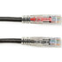 Black Box Corporation Black Box C6PC70-BK-15 Black Box GigaTrue 3 Cat.6 UTP Patch Network Cable