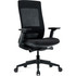 The Raynor Group, Inc Eurotech ELV2BLKFSBLK Eurotech Elevate Chair
