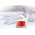 BPG International, Inc Bright Air 900021CT Bright Air Scented Oil Air Freshener BPG International, Inc Bright Air 900021CT Bright Air Scented Oil Air Freshener