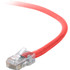 Belkin International, Inc Belkin A3L791-25-RED Belkin Cat5e Patch Cable