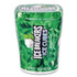 THE HERSHEY COMPANY ICE BREAKERS 22002651 Ice Cubes Spearmint Sugar-Free Gum, Spearmint, 40 Cubes/Bottle, 4 Bottles/Carton